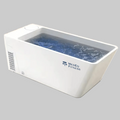 Acrylic Plunge Pool With Integrated Chiller/Heater with Massage